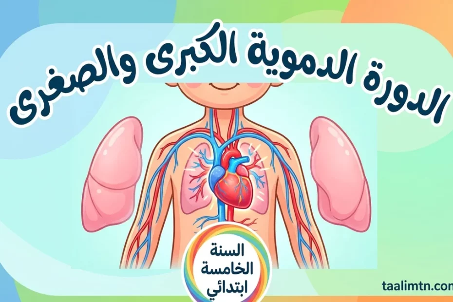 circulatory_system_cover
