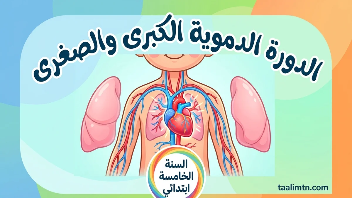 circulatory_system_cover