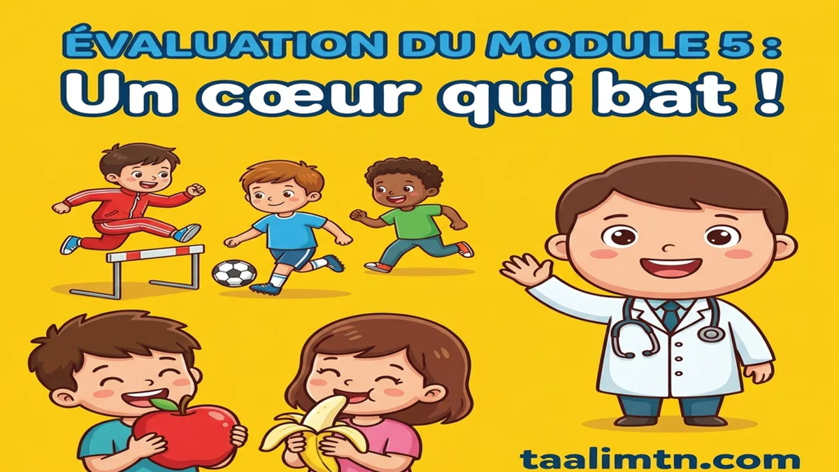 Évaluation du module 5 : Un cœur qui bat ! – 4ème Année Primaire