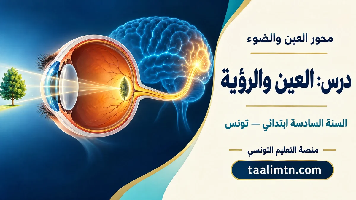eye-vision-lesson pri (1)