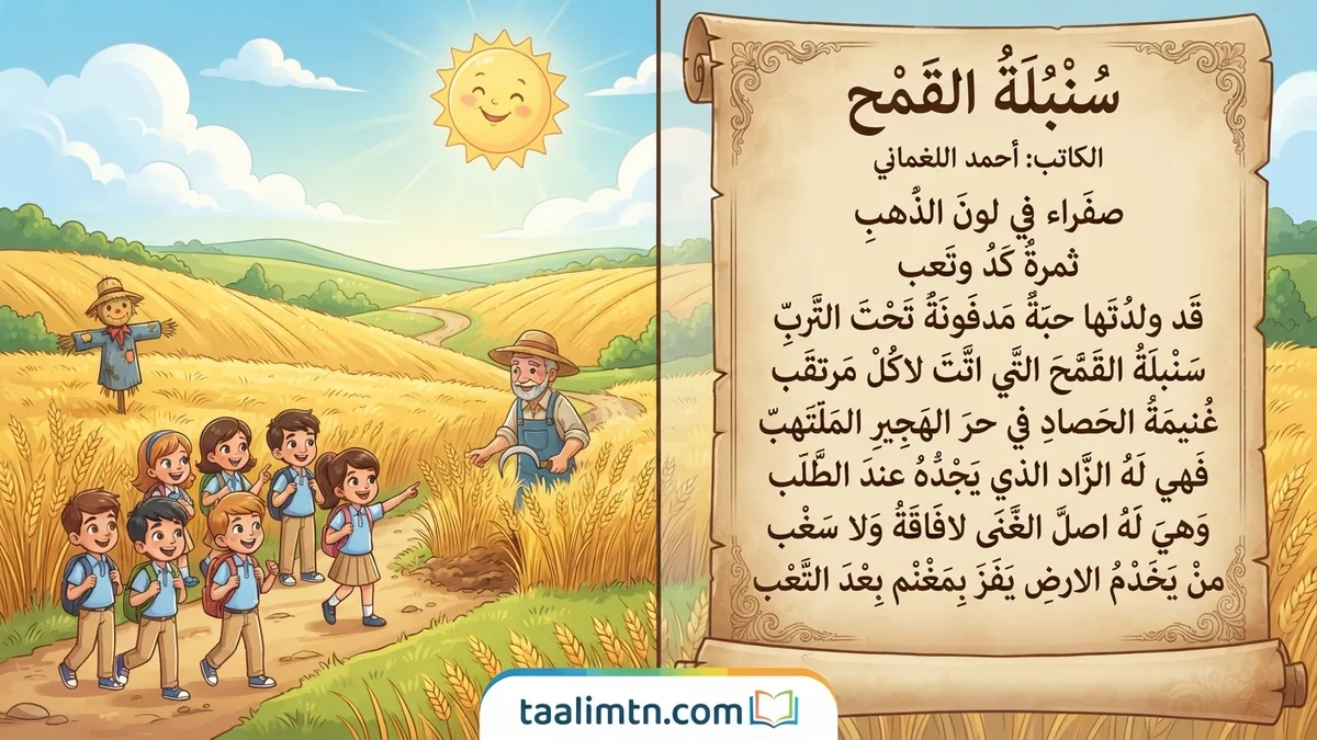 محفوظات سنبلة القمح للسنة الثانية ابتدائي